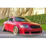 Εμπρόσθια φουσκωμένα φτερά GT της SRS-Tec για Audi TT (8N) Εμπρόσθια φουσκωμένα φτερά GT της SRS-Tec για Audi TT (8N)